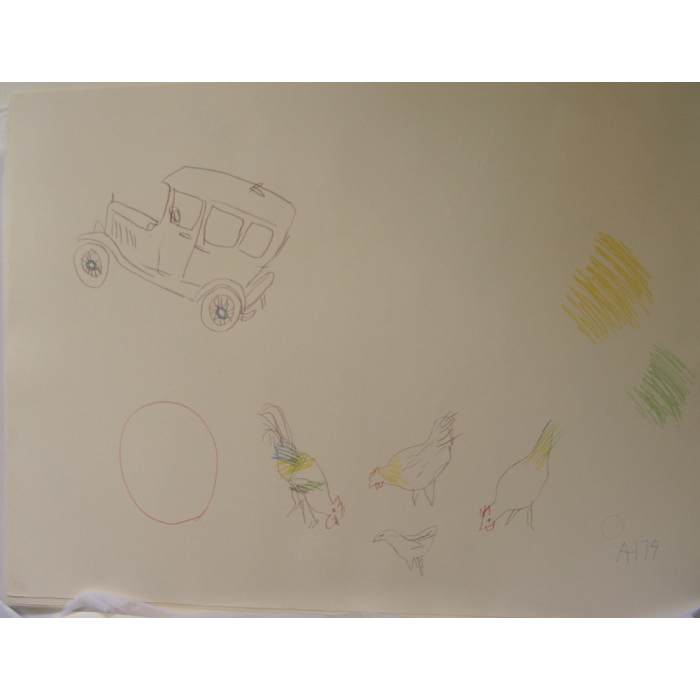 Van and Chickens
