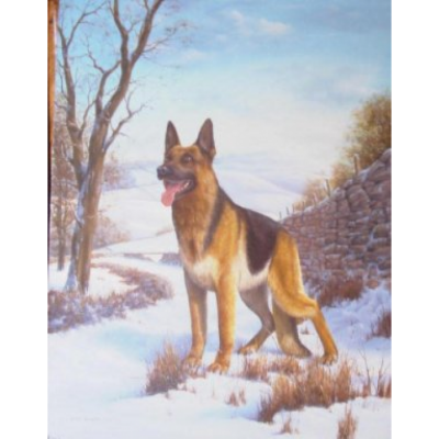 Alsatian on guard