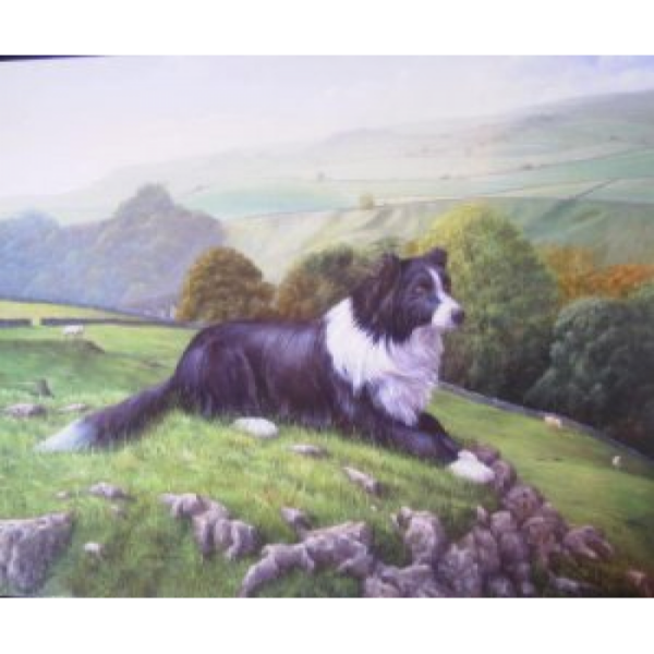 Guarding the sheep