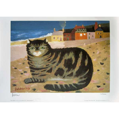 Cat on a Cornish Beach