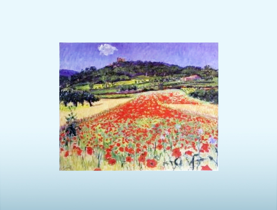 Poppies