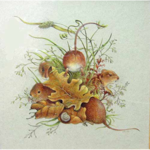 Harvest Mice