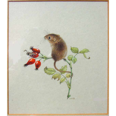 Harvest Mouse on Rosehips