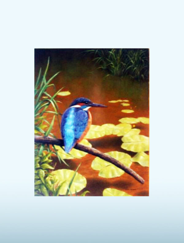 The Kingfisher