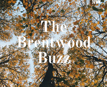 The Brentwood Buzz Podcast – John Brandler & Banksy